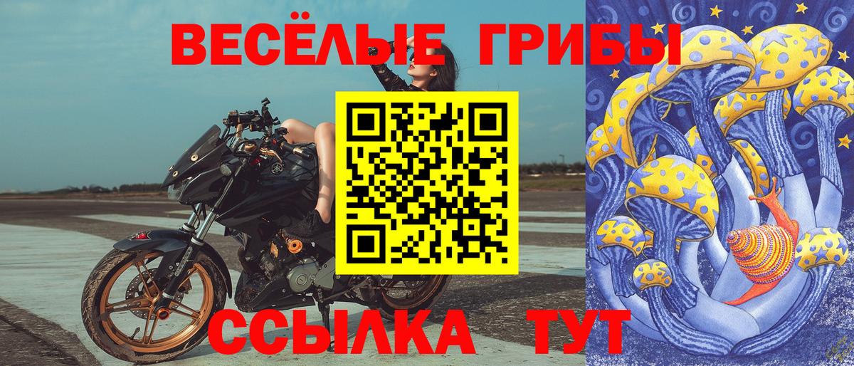 Галлюциногенные грибы мухоморы  Вход с VPN  Каменск-Шахтинский  Галлюциногенные грибы ЛСД 